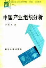 中国产业组织分析