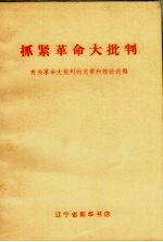 抓紧革命大批判 有关革命大批判的文章和经验选编