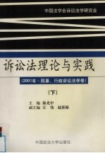诉讼法理论与实践 2001年 下 民事、行政诉讼法学卷