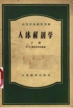 人体解剖学 下