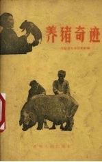 养猪奇迹 介绍遵义专区的经验