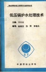 低压锅炉水处理技术