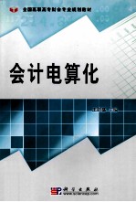 会计电算化