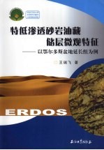 特低渗透砂岩油藏储层微观特征:以鄂尔多斯盆地延长组为例