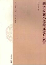 明清家族小说的文化与叙事