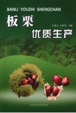 板栗优质生产