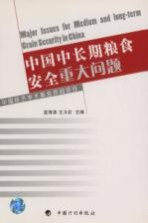 中国中长期粮食安全重大问题