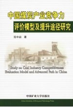 中国煤炭产业竞争力评价模型及提升途径