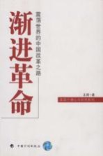 渐进革命 振荡世界的中国改革之路