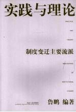 实践与理论 制度变迁主要流派