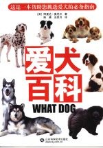爱犬百科