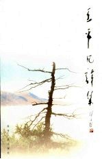 王平凡诗集