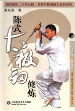 陈式太极剑修炼