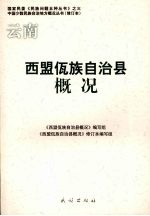 云南西盟佤族自治县概况