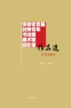 安徽省首届优秀青年书法家、美术家、摄影家作品选 书法卷