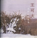 王可大水彩画作品集