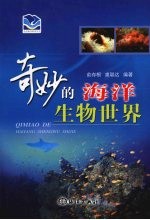 奇妙的海洋生物世界