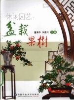 休闲园艺 盆栽果树