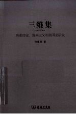 三维集 历史理论、资本主义和美国史研究