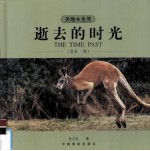 逝去的时光 袋鼠·熊