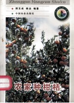 农家种柑桔