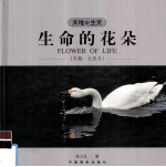生命的花朵 天鹅·火烈鸟