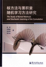 核方法与累积量随机学习方法研究