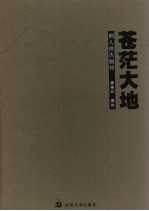 苍茫大地:湘人俊杰画传