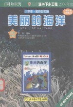 美丽的海洋
