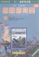 翱翔的鸟类