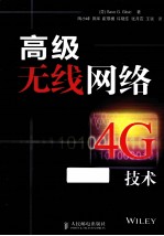 高级无线网络 4G技术