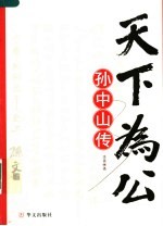 天下为公 孙中山传