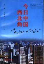 今日中国西北角