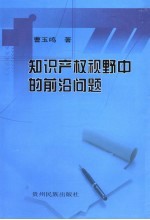 知识产权视野中的前沿问题