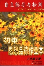 初中思想品德作业本 八年级 下
