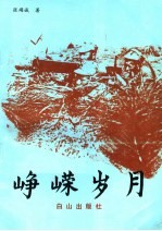 峥嵘岁月
