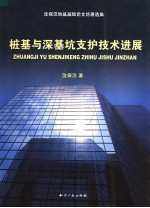 桩基与深基坑支护技术进展 沈保汉地基基础论文论著选集
