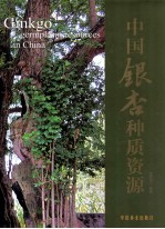 中国银杏种质资源