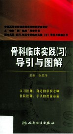 骨科临床实践(习)导引与图解