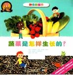 蔬菜是怎样生长的?