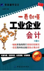 一看就懂工业企业会计 图解版