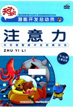 潜能开发总动员 注意力