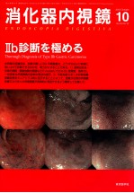 消化器内视镜 10