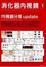消化器内视镜 1
