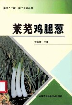 莱芜鸡腿葱