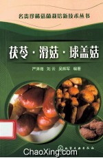 茯苓 滑菇 球盖菇
