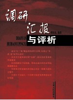 调研汇报与评析