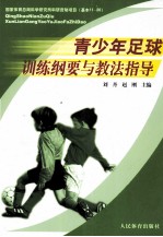 青少年足球训练纲要与教法指导