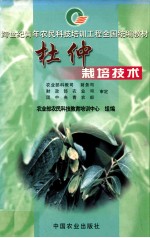 杜仲栽培技术