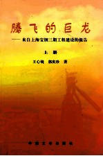 腾飞泊巨龙 来自上海宝钢三期工程建设的报告 上